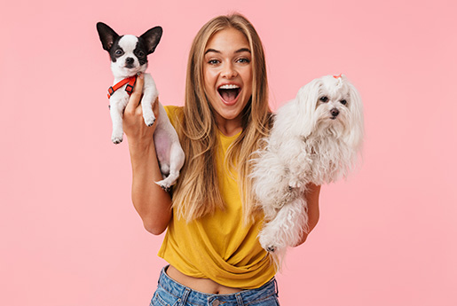 breed id 1 breed id 1