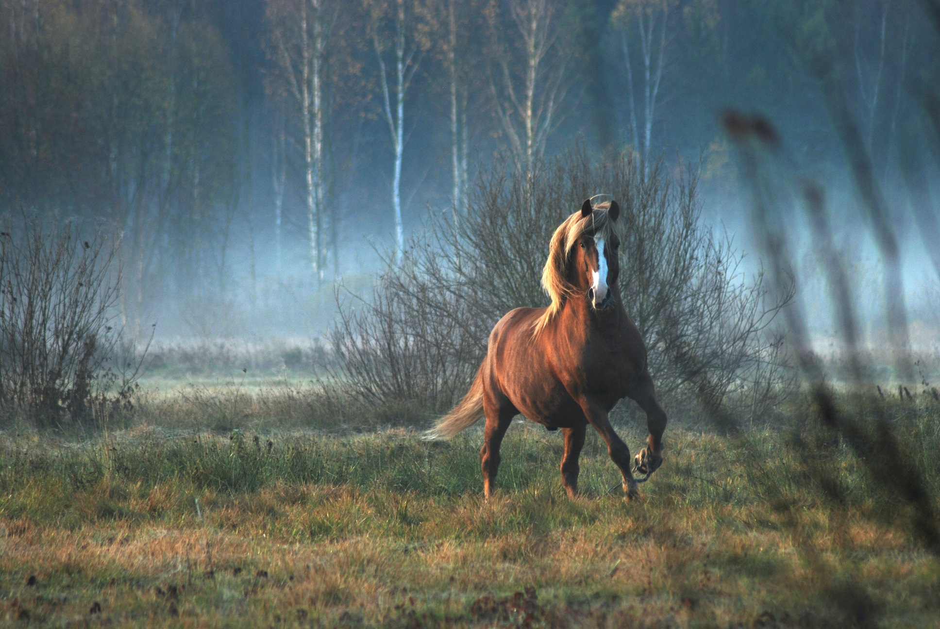 pexels rolandas augutis 3258665